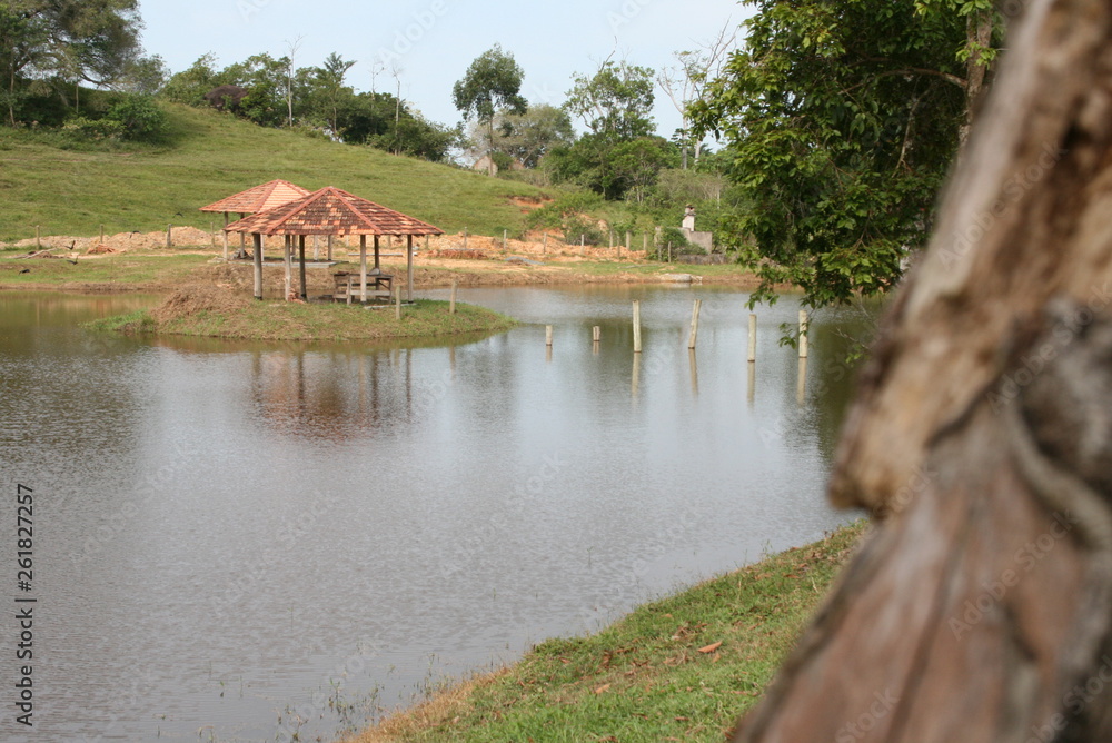 Obraz premium Nature