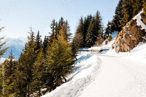 Riederalp, Wallis, Panoramaweg, Wanderweg, Winter, Winterwanderweg, Wintersport, Alpen, Aletsch, Schweiz