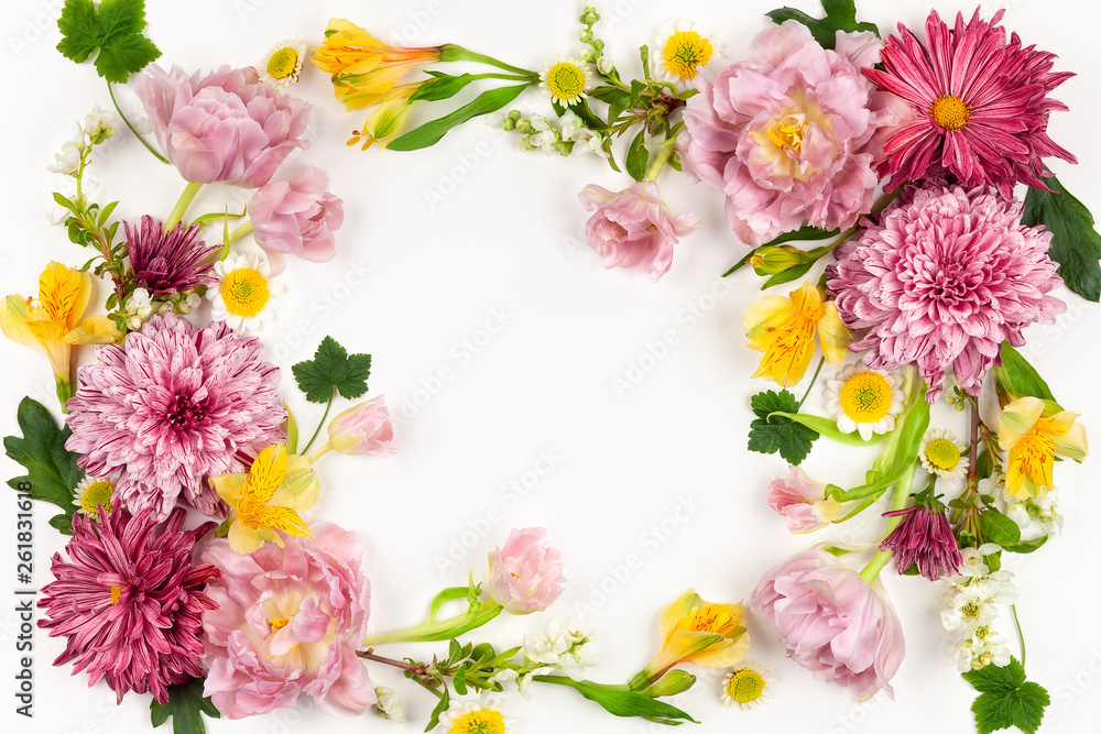 Beautiful pink flowers on white background.