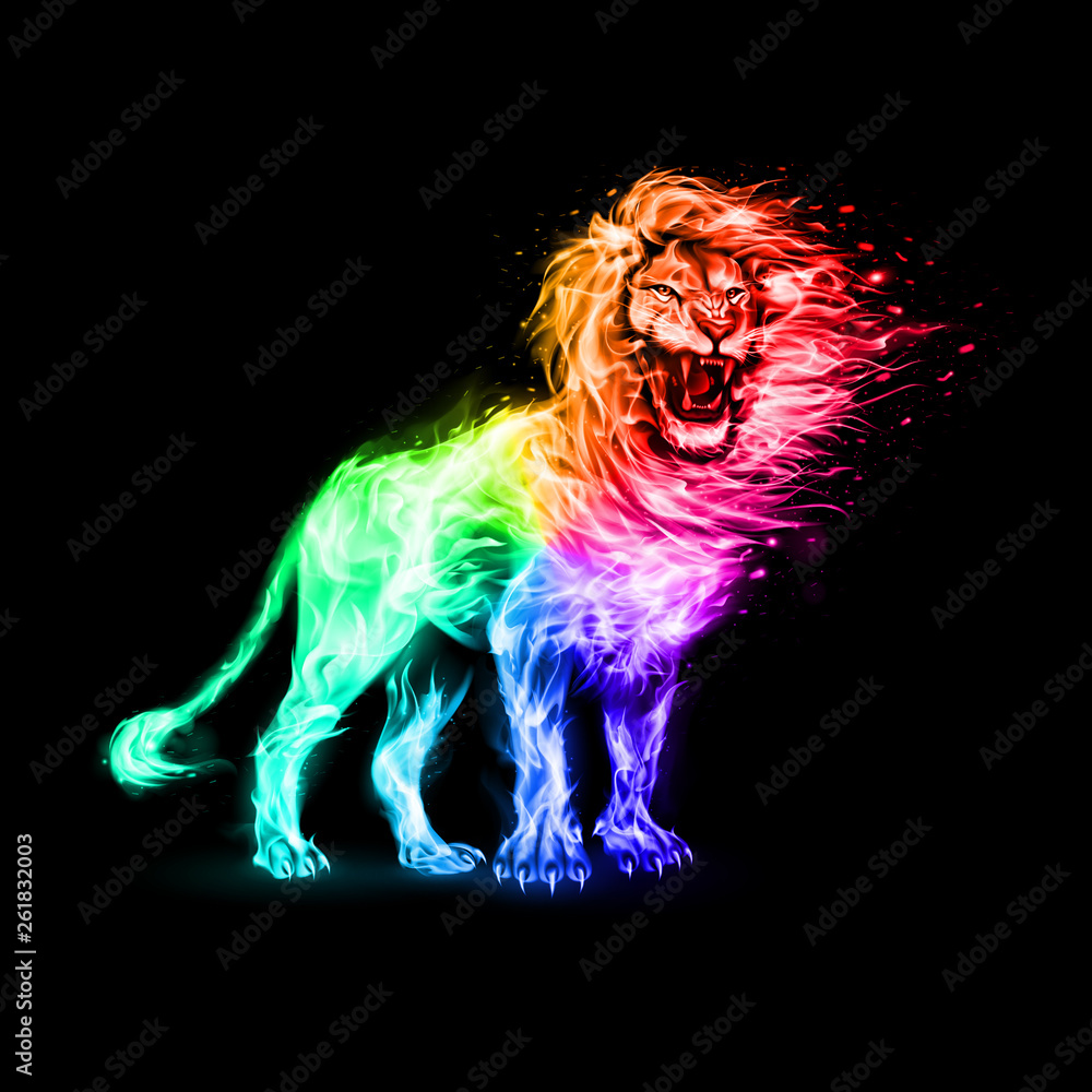 Aggressive Lion in Rainbow Flames. Illustration on Black Background for  Creative Designs Stock Vector | Adobe Stock