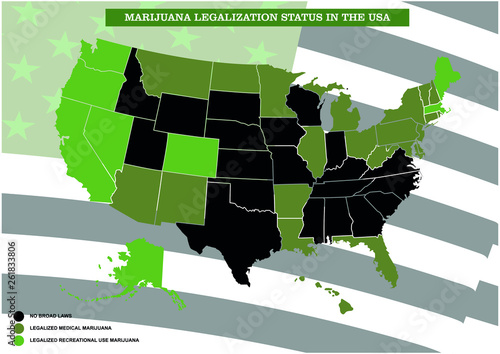 infographic marijuana legalization status in the usa,vector infographic.