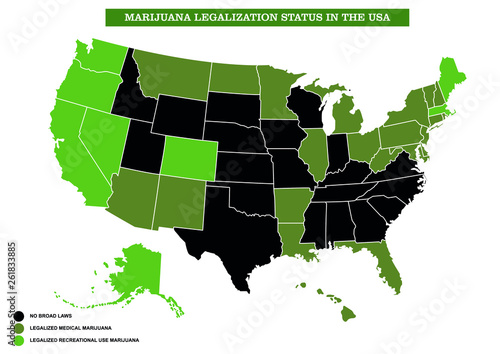 infographic marijuana legalization status in the usa,vector infographic.