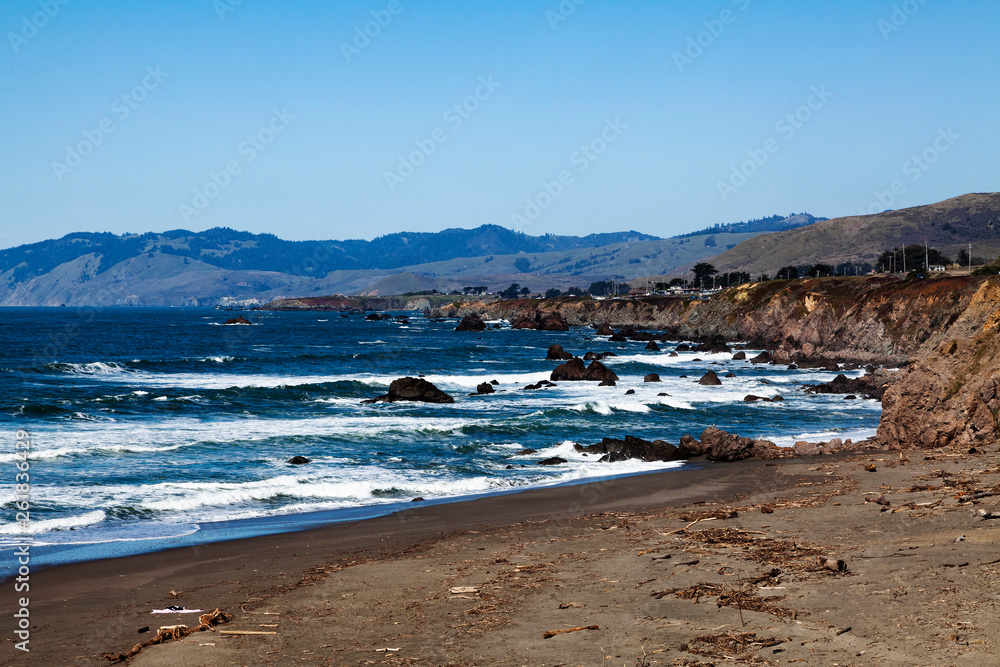 Northern California Beach With Driftwood And No People