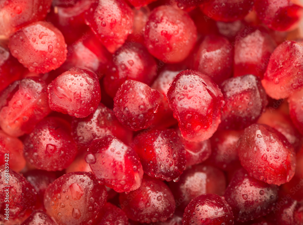 cranberries on white background cranberries on white background