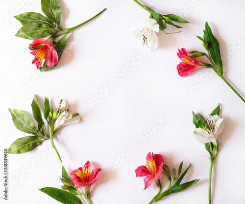 Flowers composition. Spring, easter concept. Flat lay, top view, copy space