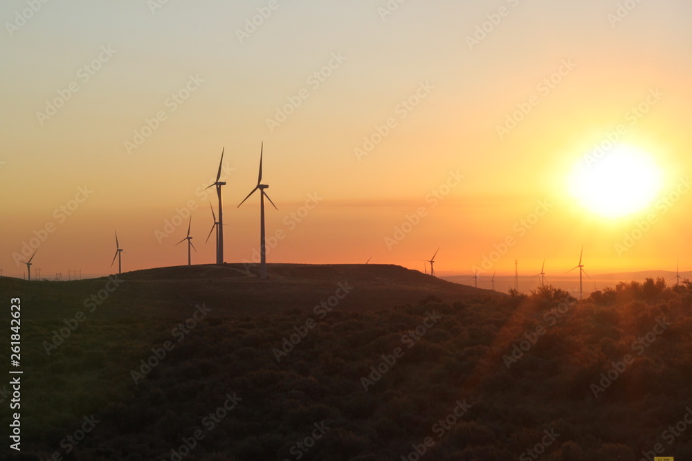 Fototapeta premium Central Washington Wind Turbines at Sunrise
