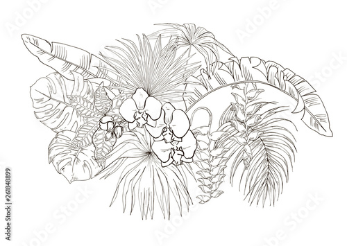 Composition of tropical plants and  Orchid flowers