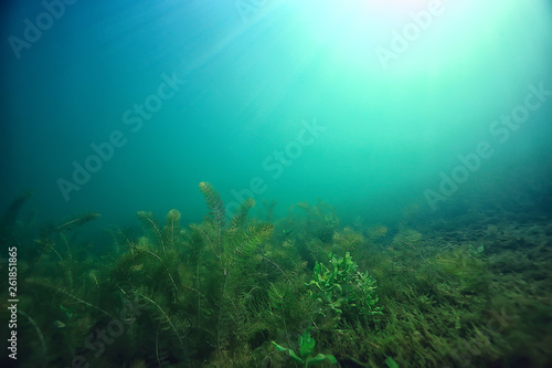 disaster ecology river underwater / landscape pollution ecology underwater