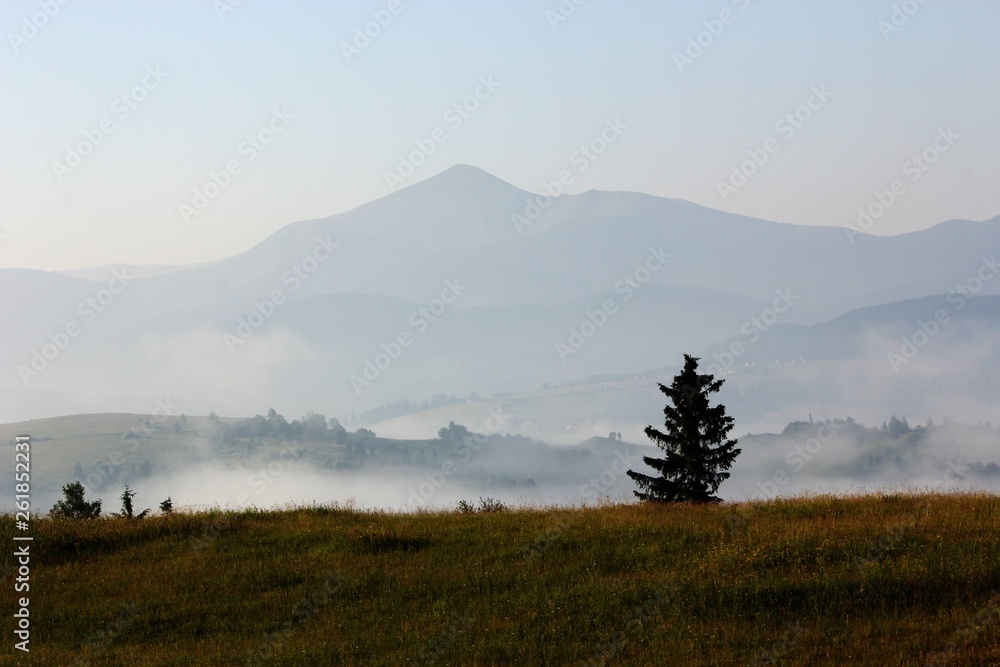 amazing foggy colorful sunset image in the mountains on the hill meadow, attractive summer photo , wallpaper evening landscape, Europe, Ukraine, Hoverla, Carpathians