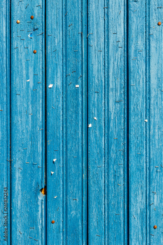 Fototapeta premium Staples on an old wooden wall.