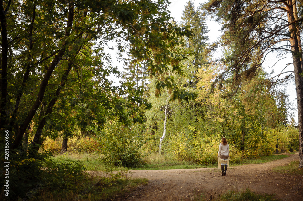 red-haired girl in bright clothes on a background of autumn forest on a sunny day red-haired girl in bright clothes on a background of autumn forest on a sunny day