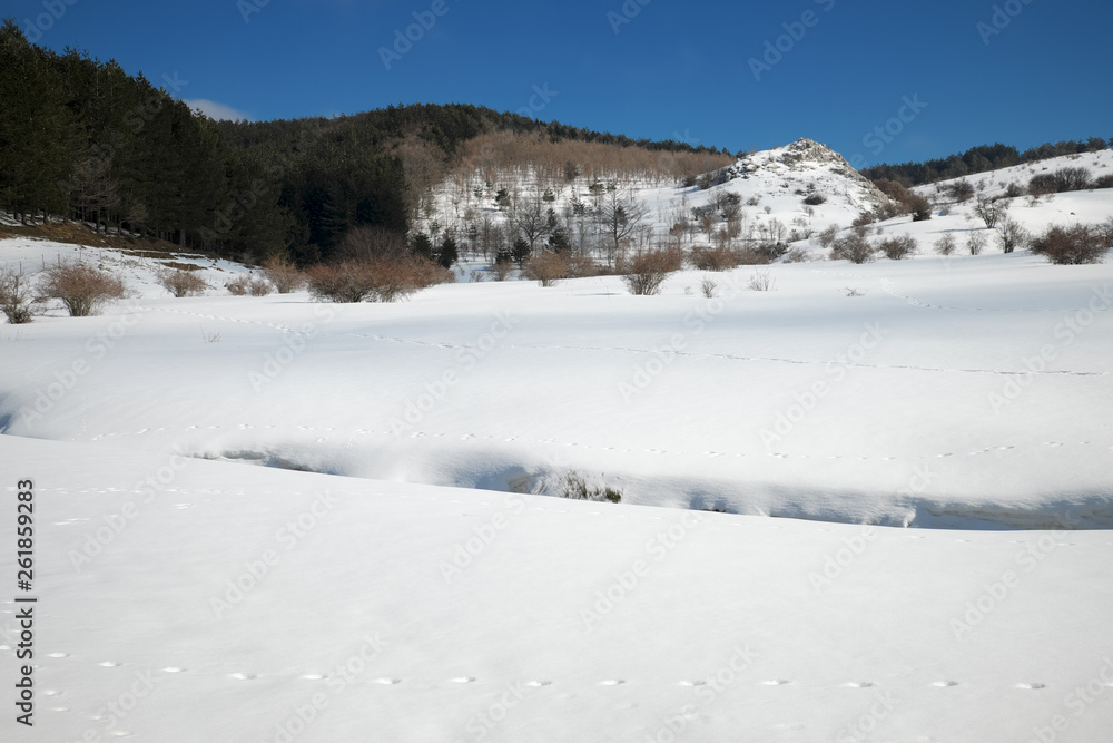 Frozen Lake In Winter Landscape Frozen Lake In Winter Landscape