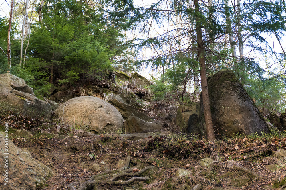 Natural spherical boulder in forest in Megonky (SLOVAKIA) Natural spherical boulder in forest in Megonky (SLOVAKIA)