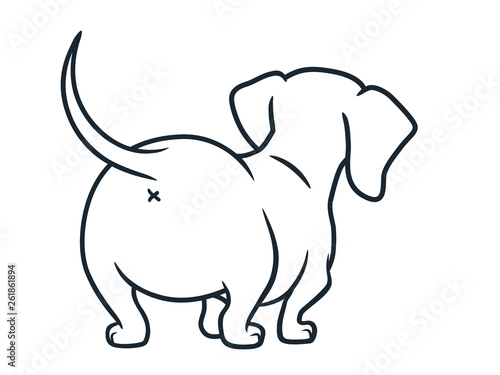 Cute dachshund sausage dog vector cartoon illustration isolated on white. Simple black and white line drawing of  wiener puppy  rear view. Funny doxie butt  dog lovers  pets  animals theme.