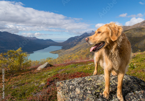 Eklutna Barley