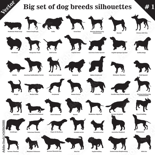 Vector dogs silhouettes 1