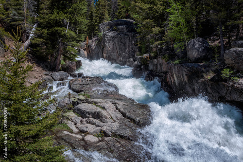 Waterfall in forest