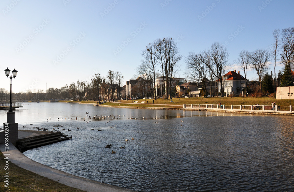View of the lake with wild birds in early spring, in the background beautiful large rich houses, the city of Kaliningrad, March 2019.