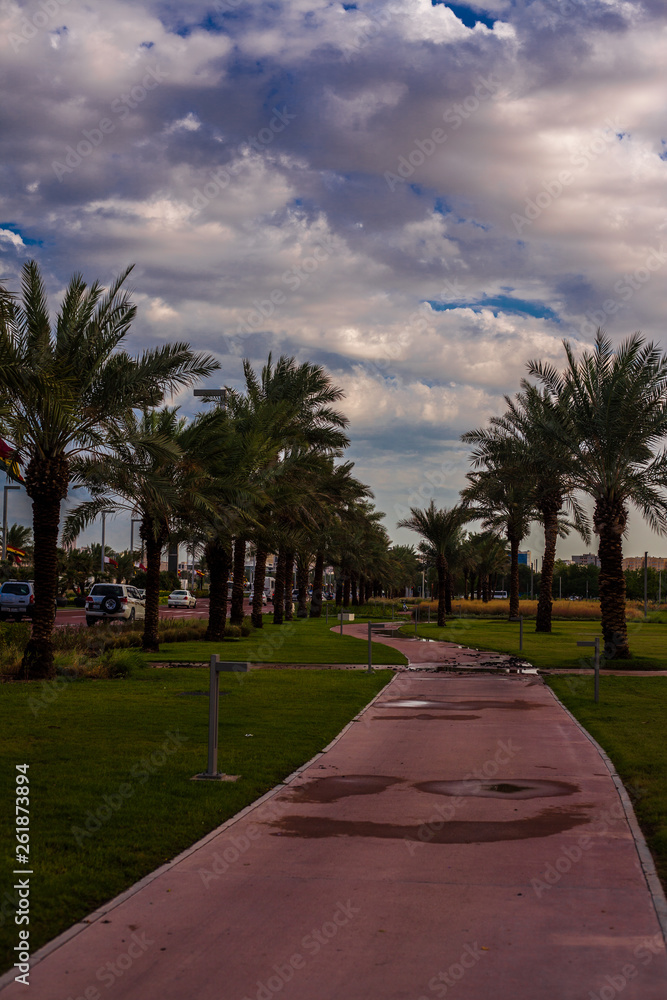Obraz premium road in the park