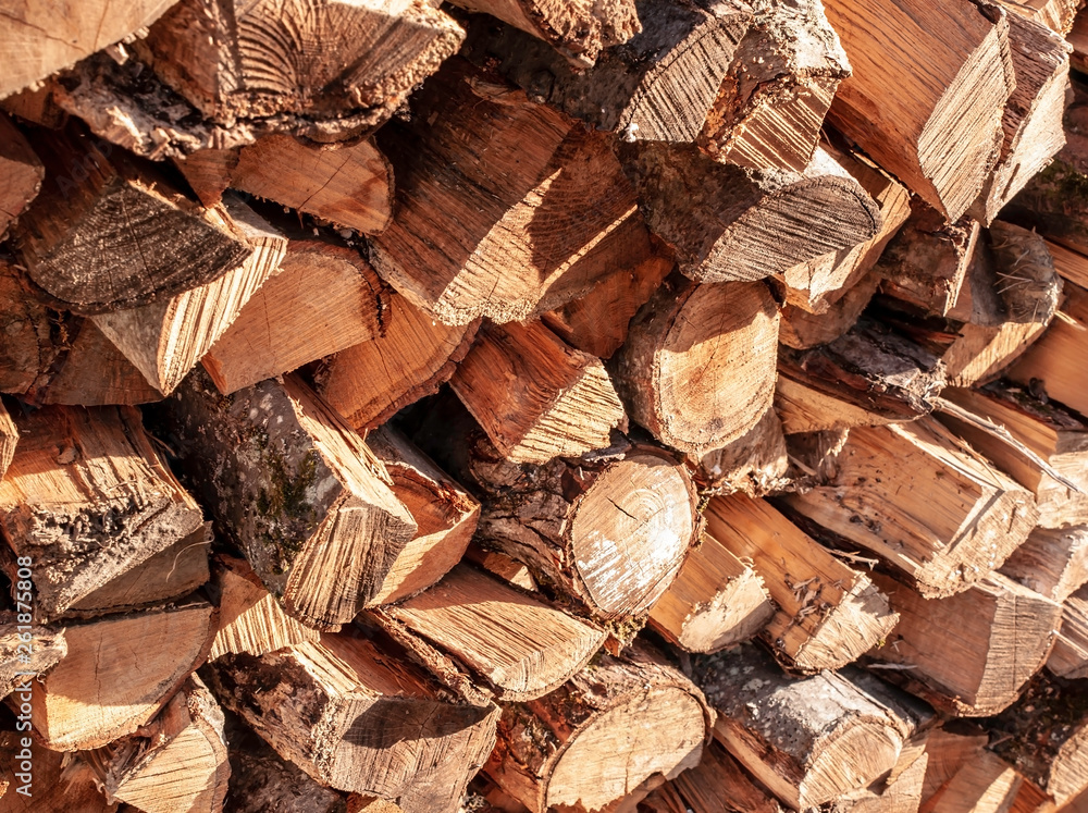 Cut and stacked fire wood in bright sunshine Cut and stacked fire wood in bright sunshine