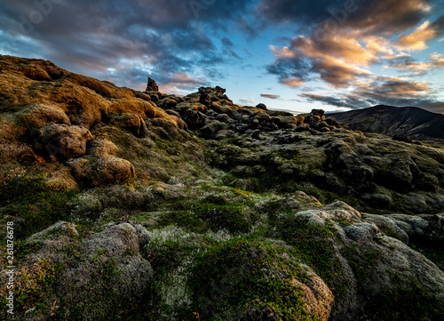 Schilderij op canvas Icelandic moss blankets the landscape of this Norse country