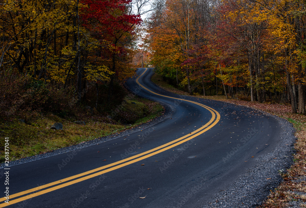 West Virginia curved asphalt road during peak fall colors with colorful tree and forest foliage. West Virginia curved asphalt road during peak fall colors with colorful tree and forest foliage.