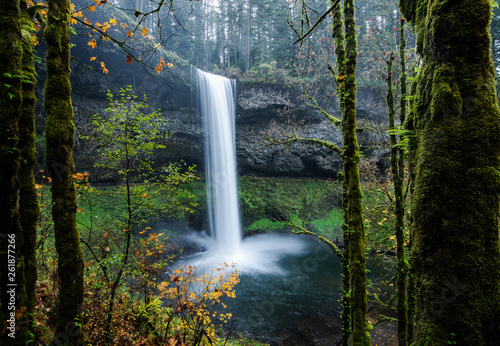 Fototapeta Naklejka Na Ścianę i Meble -  Beautiful Oregon waterfall spills into a cool pool of water. Surrounded by lush moss covered trees, the autumn leaves give a serenity to the scene. Fall is captured in a single artistic frame.