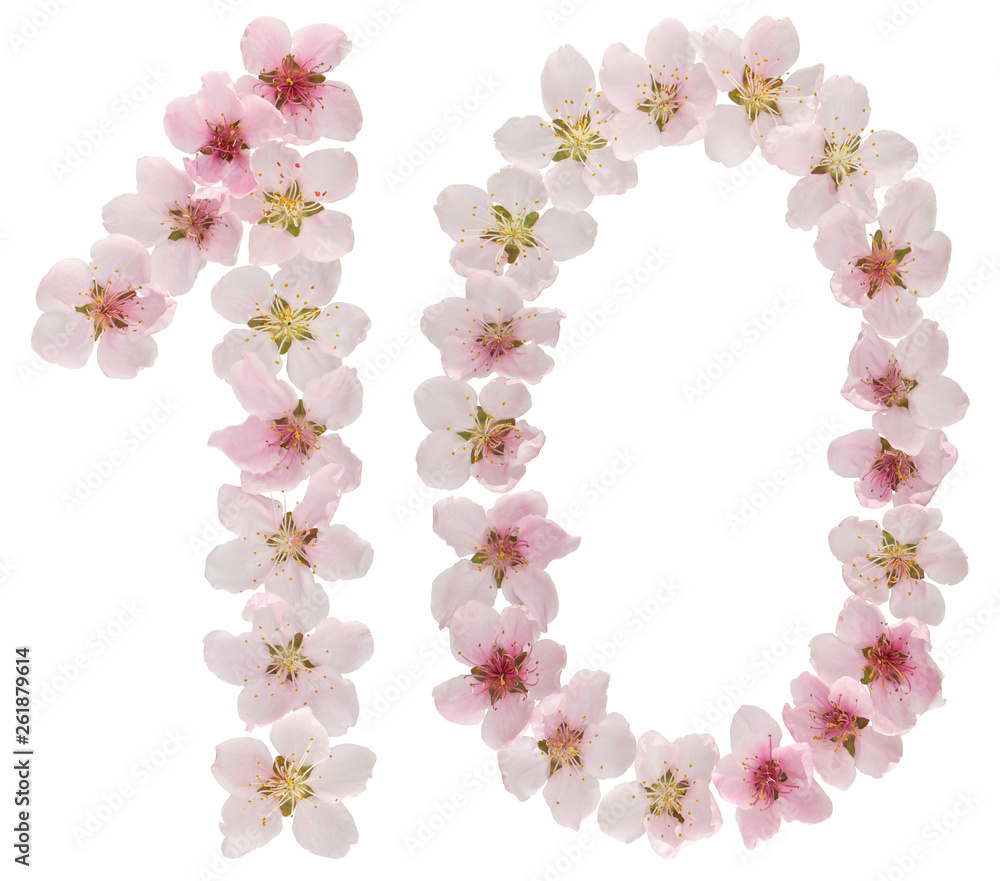Numeral 10, ten, from natural pink flowers of peach tree, isolated on white background
