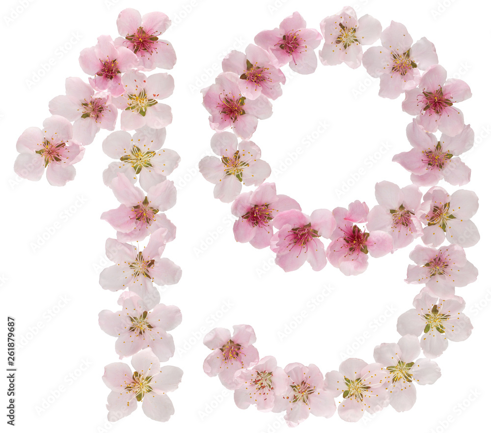 Numeral 19, nineteen, from natural pink flowers of peach tree, isolated on white background Numeral 19, nineteen, from natural pink flowers of peach tree, isolated on white background