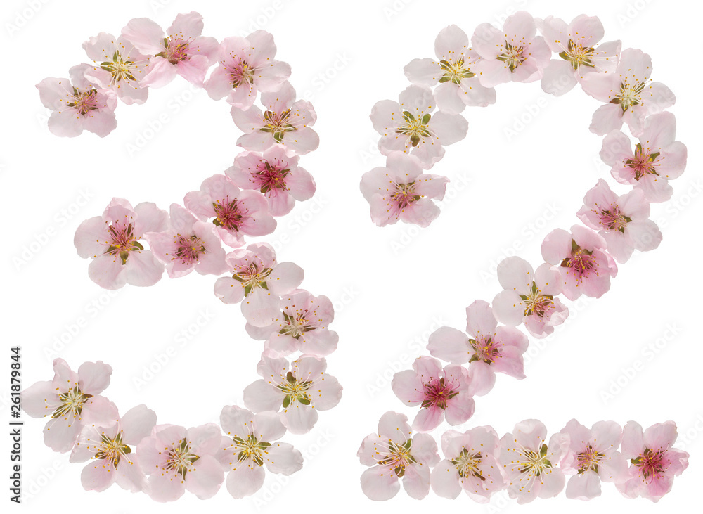 Numeral 32, thirty two, from natural pink flowers of peach tree, isolated on white background Numeral 32, thirty two, from natural pink flowers of peach tree, isolated on white background
