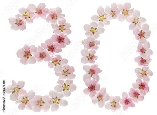 Numeral 30, thirty, from natural pink flowers of peach tree, isolated on white background