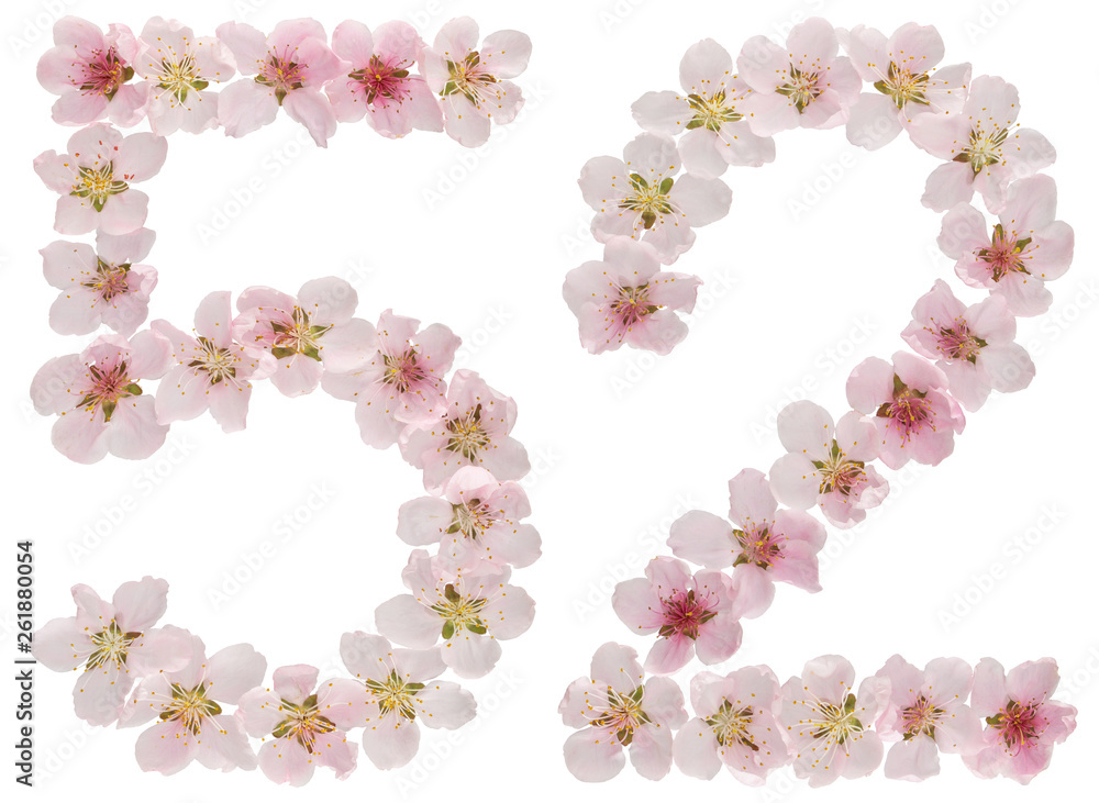 Numeral 52, fifty two, from natural pink flowers of peach tree, isolated on white background Numeral 52, fifty two, from natural pink flowers of peach tree, isolated on white background