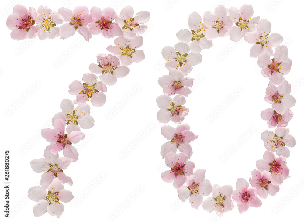 Numeral 70, seventy, from natural pink flowers of peach tree, isolated on white background