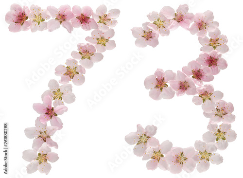 Numeral 73  seventy three  from natural pink flowers of peach tree  isolated on white background