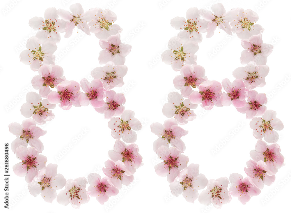 Numeral 88, eighty eight, from natural pink flowers of peach tree, isolated on white background Numeral 88, eighty eight, from natural pink flowers of peach tree, isolated on white background