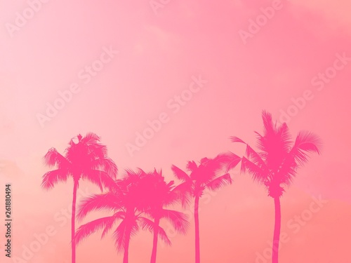 Palm tree silhouette pink pastel sky with copy space summer concept © AmySachar
