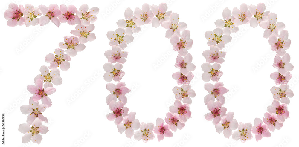 Numeral 700, seven hundred, from natural pink flowers of peach tree, isolated on white background