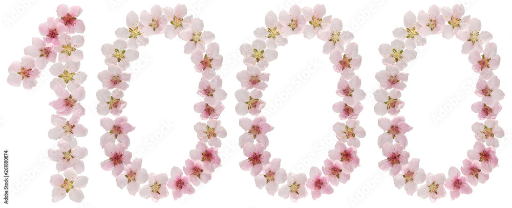 Numeral 1000, one thousand, from natural pink flowers of peach tree, isolated on white background Numeral 1000, one thousand, from natural pink flowers of peach tree, isolated on white background