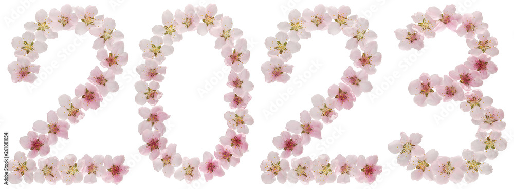 Inscription 2023, from natural pink flowers of peach tree, isolated on white background Inscription 2023, from natural pink flowers of peach tree, isolated on white background