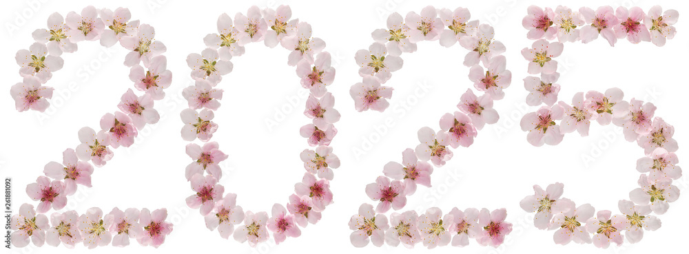 Inscription 2025, from natural pink flowers of peach tree, isolated on white background