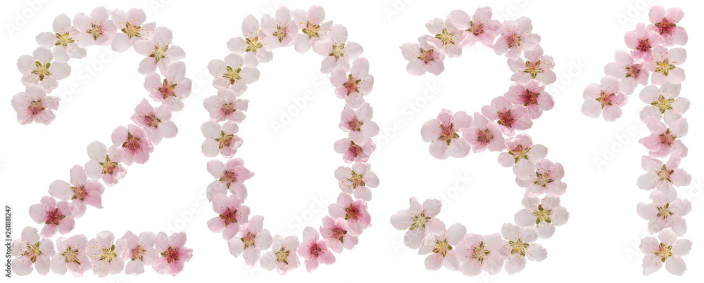 Inscription 2031, from natural pink flowers of peach tree, isolated on white background