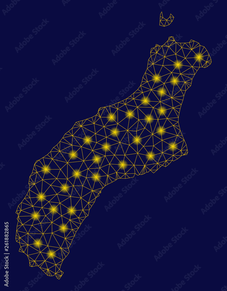 Bright Yellow Mesh Niihau Island Map With Lightspot Effect Wire Carcass Triangular Network In