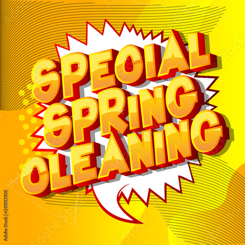 Special Spring Cleaning - Vector illustrated comic book style phrase on abstract background.