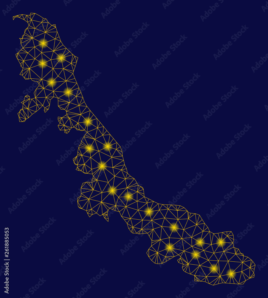 Bright yellow mesh Veracruz State map with glow effect. Wire frame polygonal mesh in vector EPS10 format on a dark black background. Abstract 2d mesh designed with polygonal grid, spheric points,