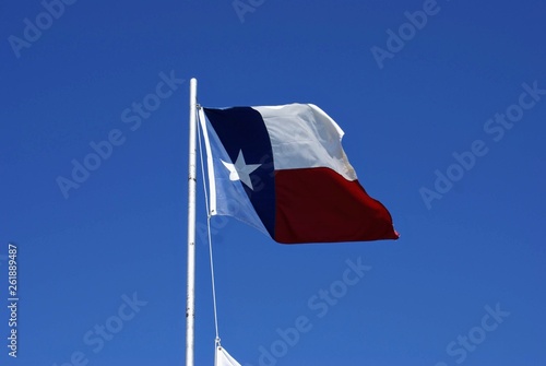 Texas Flag