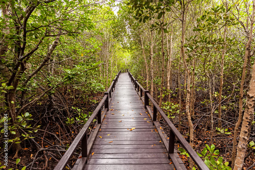Wooden bridge the forest mangrove at Petchaburi, Thailand © pittawut