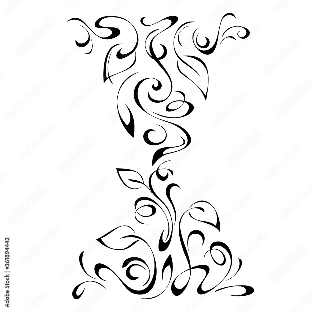 leafy ornament with leaves and curls in black lines on a white background