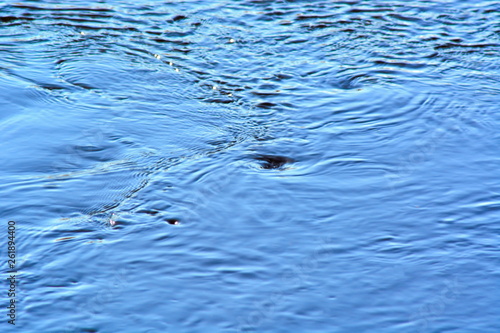 Obraz na plátně Little whirlpools in the blue water on lake