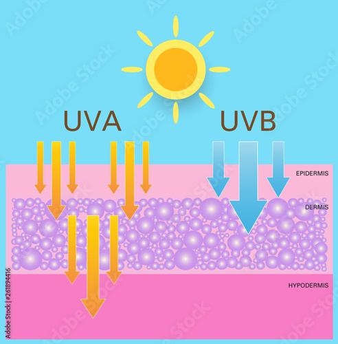 Skin compare , Protect both UVA and UVB