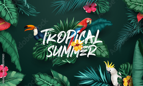 Birds collection and tropical plants background